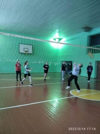 Физкультура и спорт - Товарищеская встреча по волейболу